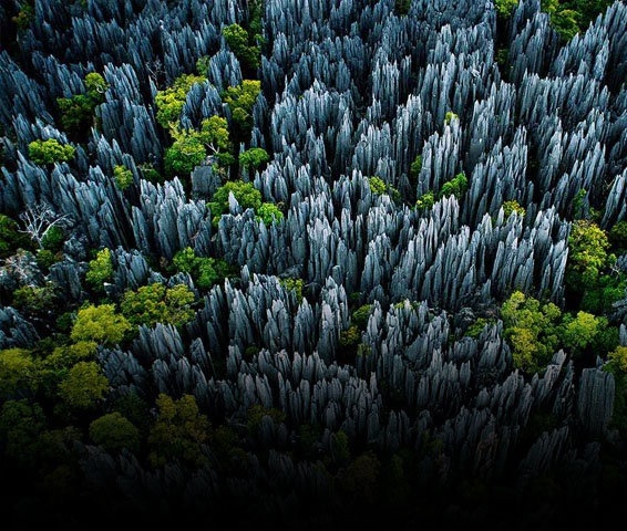 Voyages vers Morondava