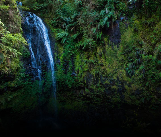 Voyages vers Morondava