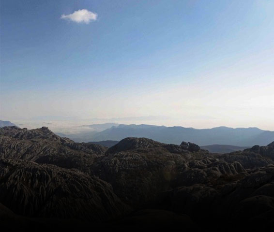 Voyages vers Morondava